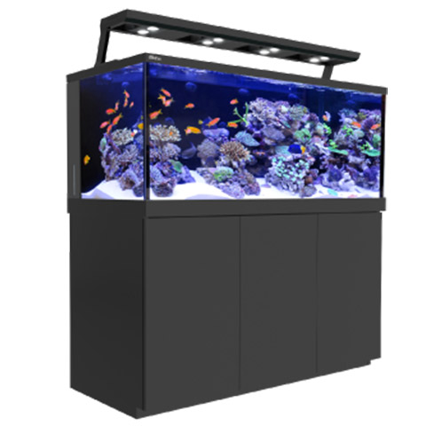 aquarium_products