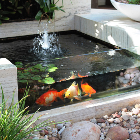 ponds